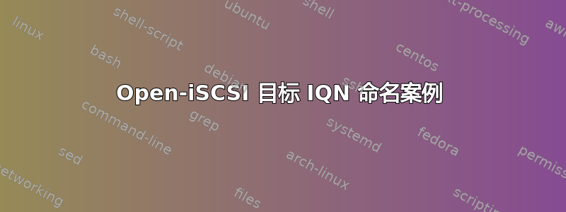 Open-iSCSI 目标 IQN 命名案例