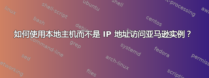 如何使用本地主机而不是 IP 地址访问亚马逊实例？