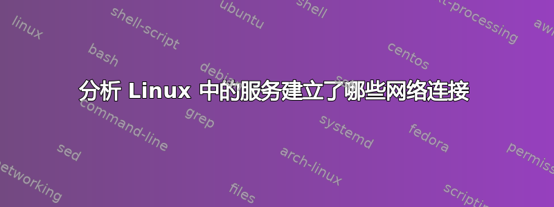 分析 Linux 中的服务建立了哪些网络连接