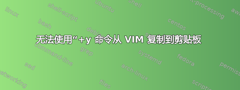 无法使用“+y 命令从 VIM 复制到剪贴板