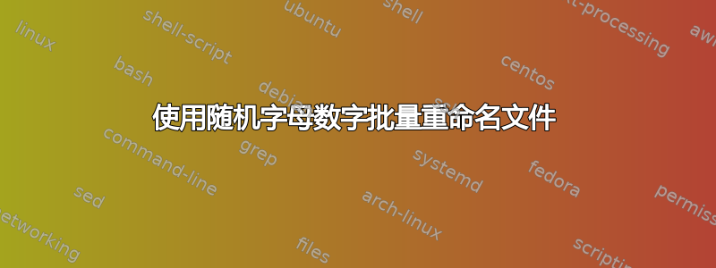 使用随机字母数字批量重命名文件