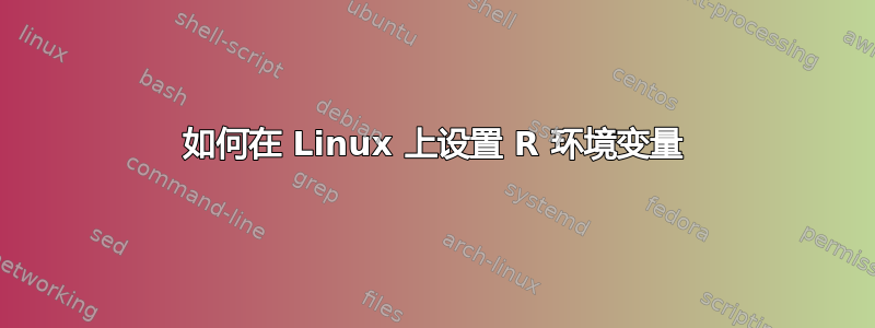 如何在 Linux 上设置 R 环境变量