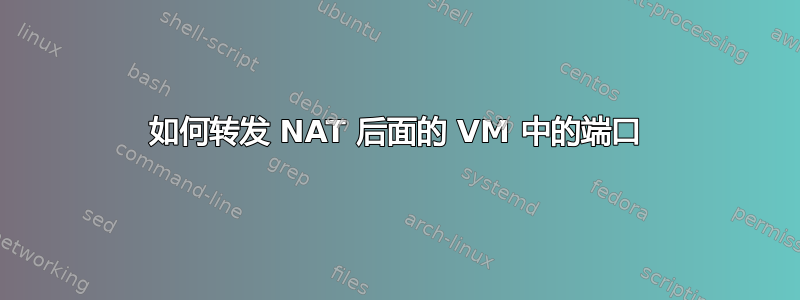 如何转发 NAT 后面的 VM 中的端口