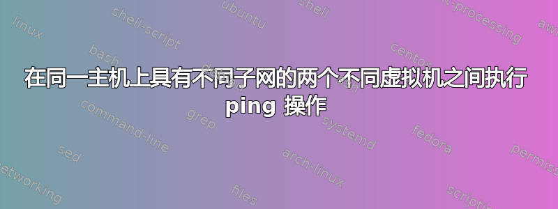 在同一主机上具有不同子网的两个不同虚拟机之间执行 ping 操作