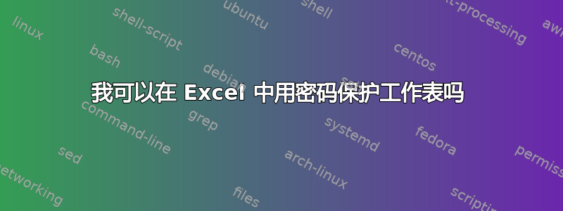 我可以在 Excel 中用密码保护工作表吗