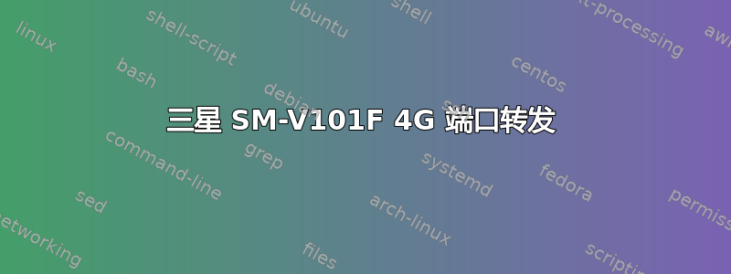 三星 SM-V101F 4G 端口转发