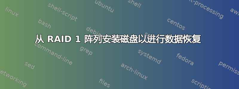 从 RAID 1 阵列安装磁盘以进行数据恢复