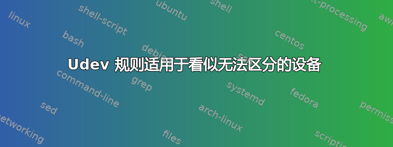 Udev 规则适用于看似无法区分的设备