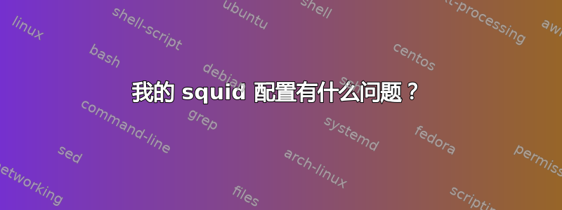 我的 squid 配置有什么问题？