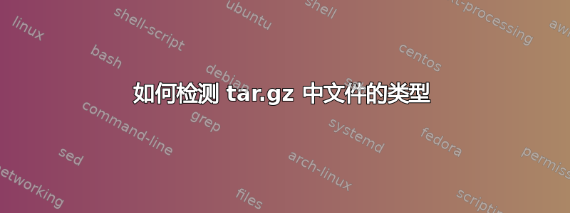 如何检测 tar.gz 中文件的类型