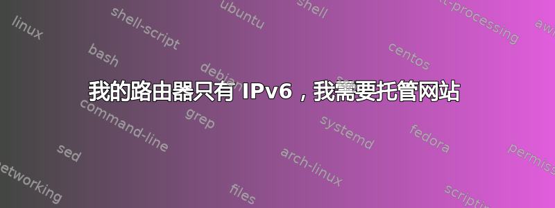 我的路由器只有 IPv6，我需要托管网站