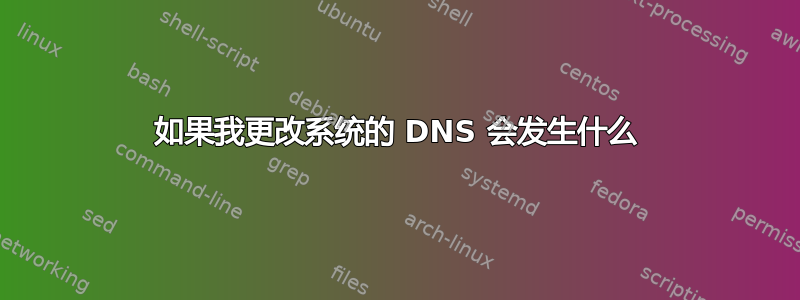 如果我更改系统的 DNS 会发生什么