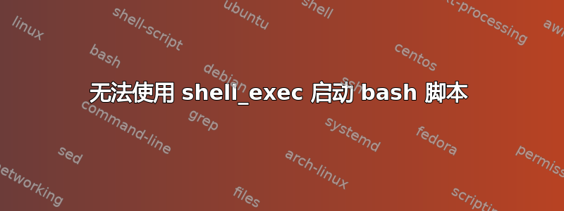 无法使用 shell_exec 启动 bash 脚本