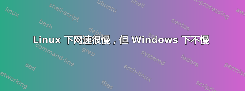 Linux 下网速很慢，但 Windows 下不慢