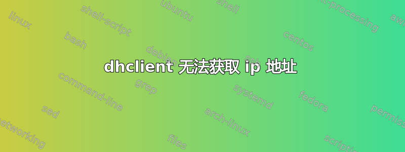 dhclient 无法获取 ip 地址