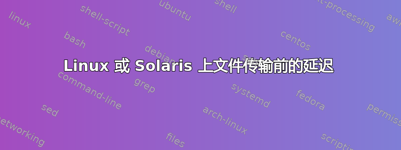 Linux 或 Solaris 上文件传输前的延迟