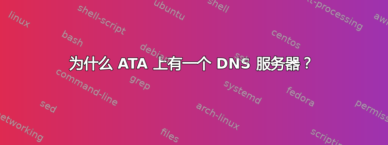 为什么 ATA 上有一个 DNS 服务器？