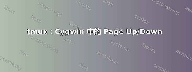 tmux：Cygwin 中的 Page Up/Down