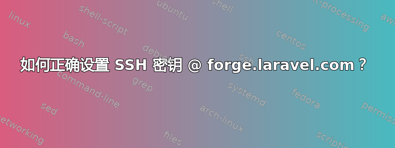 如何正确设置 SSH 密钥 @ forge.laravel.com？