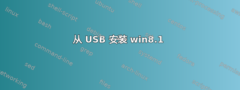 从 USB 安装 win8.1