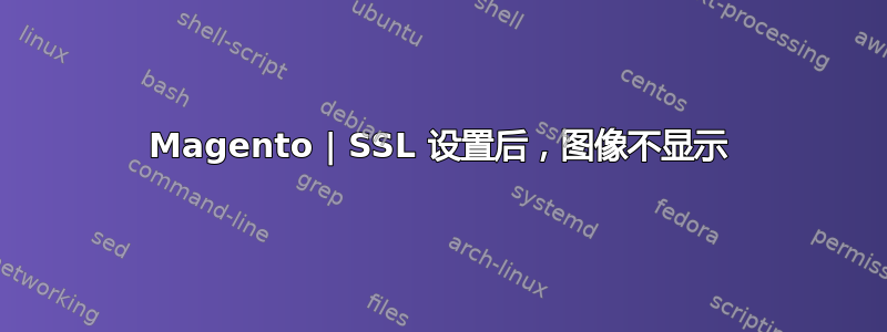 Magento | SSL 设置后，图像不显示