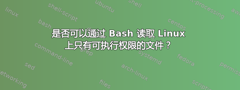 是否可以通过 Bash 读取 Linux 上只有可执行权限的文件？