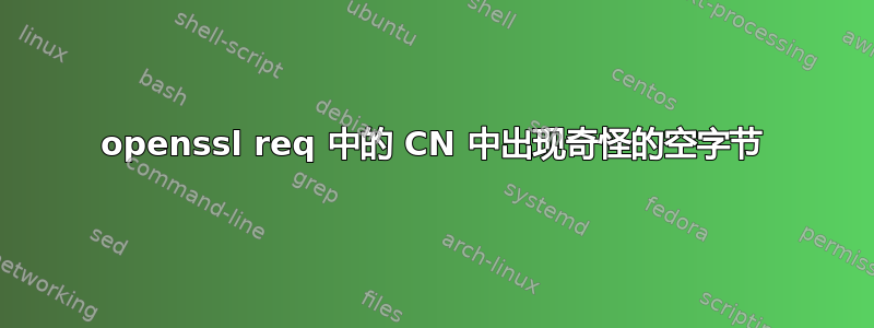 openssl req 中的 CN 中出现奇怪的空字节