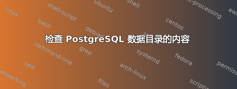 检查 PostgreSQL 数据目录的内容