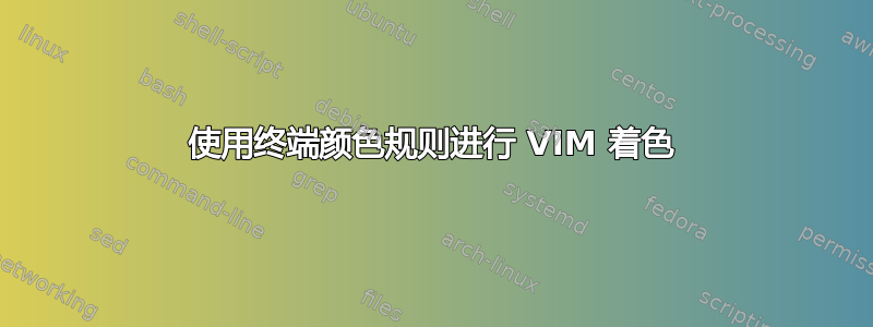 使用终端颜色规则进行 VIM 着色