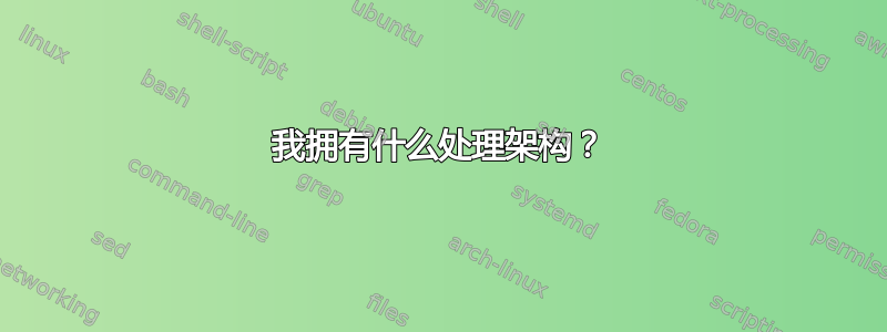 我拥有什么处理架构？