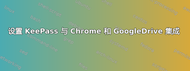 设置 KeePass 与 Chrome 和 GoogleDrive 集成