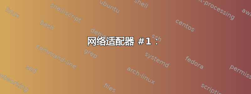 网络适​​配器 #1：