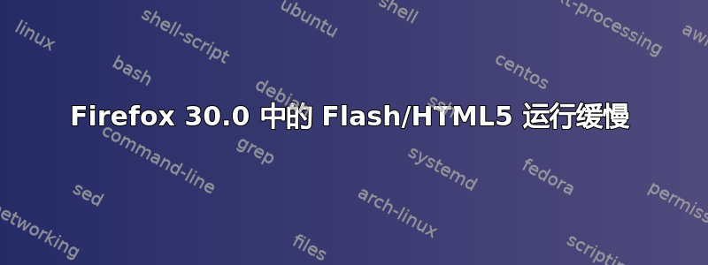 Firefox 30.0 中的 Flash/HTML5 运行缓慢