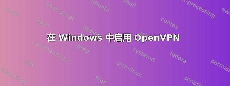 在 Windows 中启用 OpenVPN