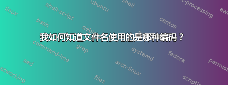 我如何知道文件名使用的是哪种编码？