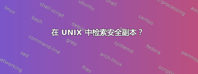 在 UNIX 中检索安全副本？