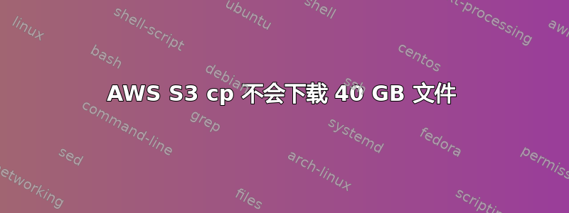 AWS S3 cp 不会下载 40 GB 文件