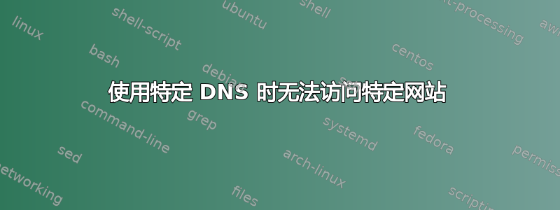 使用特定 DNS 时无法访问特定网站