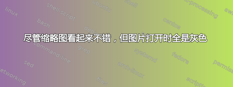 尽管缩略图看起来不错，但图片打开时全是灰色