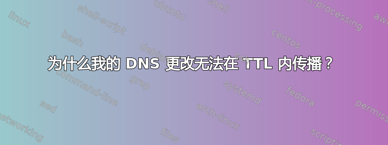 为什么我的 DNS 更改无法在 TTL 内传播？