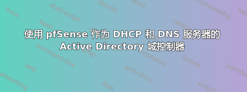 使用 pfSense 作为 DHCP 和 DNS 服务器的 Active Directory 域控制器