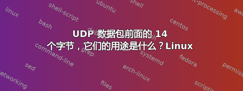 UDP 数据包前面的 14 个字节，它们的用途是什么？Linux