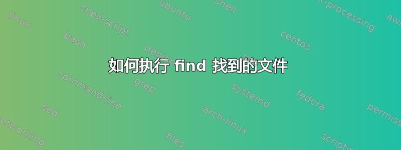 如何执行 find 找到的文件