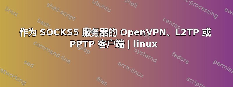 作为 SOCKS5 服务器的 OpenVPN、L2TP 或 PPTP 客户端 | linux 