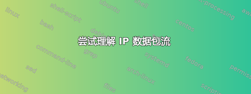 尝试理解 IP 数据包流