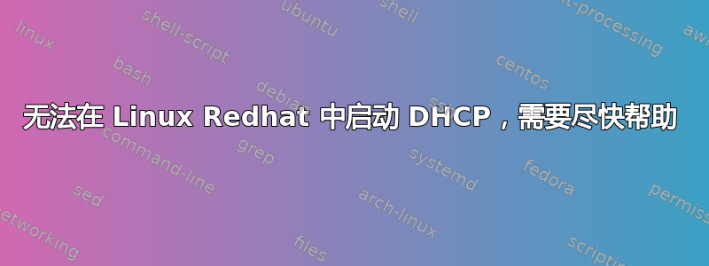 无法在 Linux Redhat 中启动 DHCP，需要尽快帮助