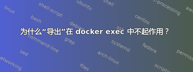 为什么“导出”在 docker exec 中不起作用？