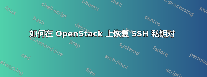 如何在 OpenStack 上恢复 SSH 私钥对