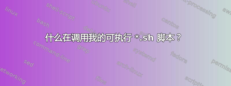 什么在调用我的可执行 *.sh 脚本？