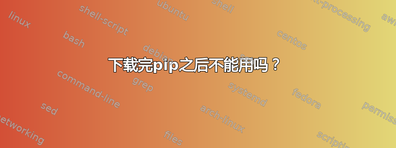 下载完pip之后不能用吗？